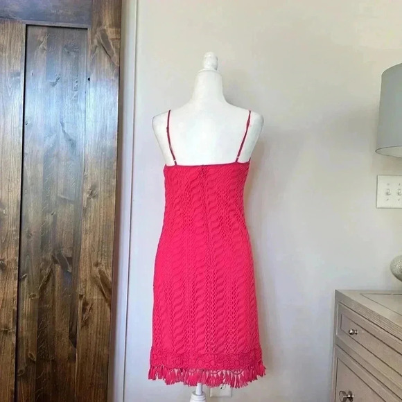 Lilly Pulitzer Pink Lace Dress - Picture 8 of 9